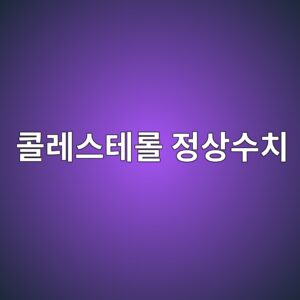 콜레스테롤 정상수치