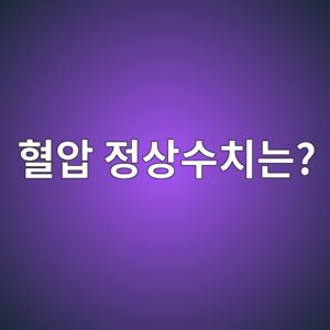 혈압 정상수치는?